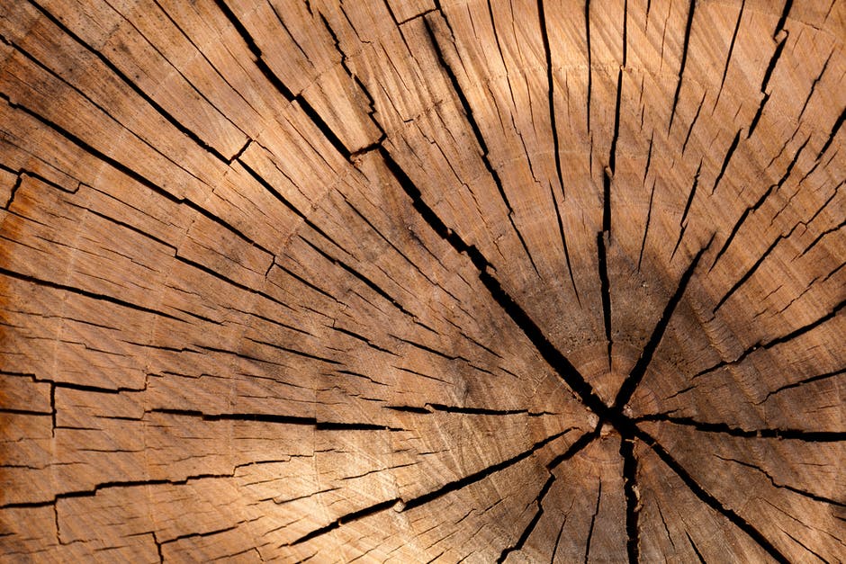 background-wood.jpg